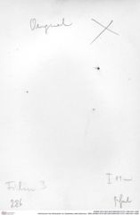 Historisches Foto (Rückseite) von Galatheites zitteli (Moericke, 1889) (NHMW-AFW-GEO-BACHMAYER-FOTO-1990-0041-0286)